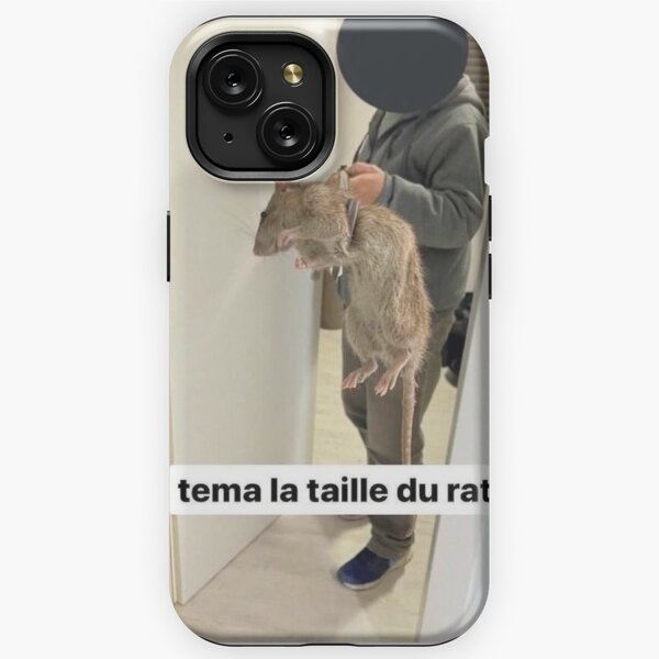 tema la taile du rat