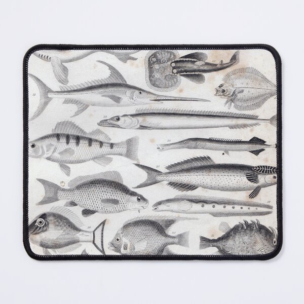 Item preview, Marinelife designed and sold by decartsnorth.