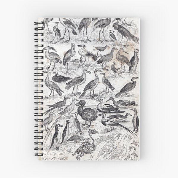 Item preview, Birdland designed and sold by decartsnorth.