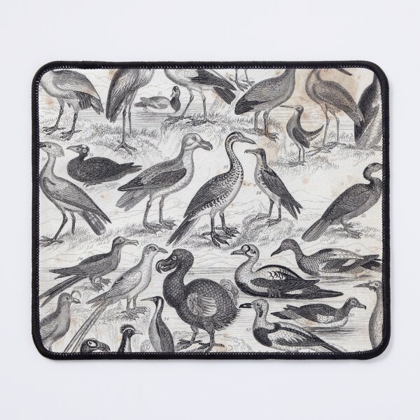 Item preview, Birdland designed and sold by decartsnorth.