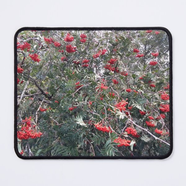 Item preview, Mountain Ash Berries designed and sold by SJVarcas.