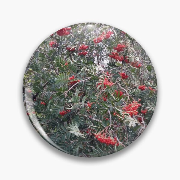 Item preview, Mountain Ash Berries designed and sold by SJVarcas.