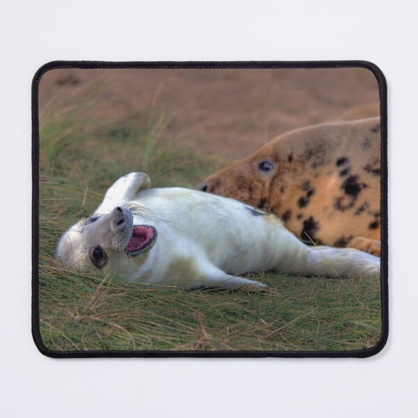Item preview, The Donna Nook Grey Seal Colony designed and sold by Paul Thompson Photography.