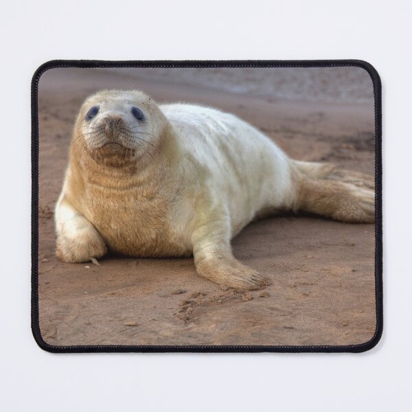 Item preview, The Donna Nook Grey Seal Colony 2 designed and sold by Paul Thompson Photography.