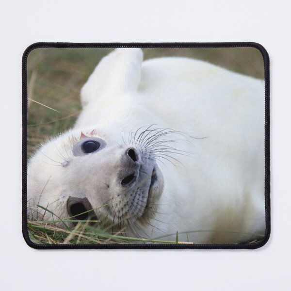 Item preview, AHHHHH designed and sold by Paul Thompson Photography.