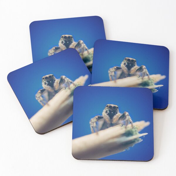 Item preview, Aim high | Zebra jumping spider designed and sold by BBPGallery.