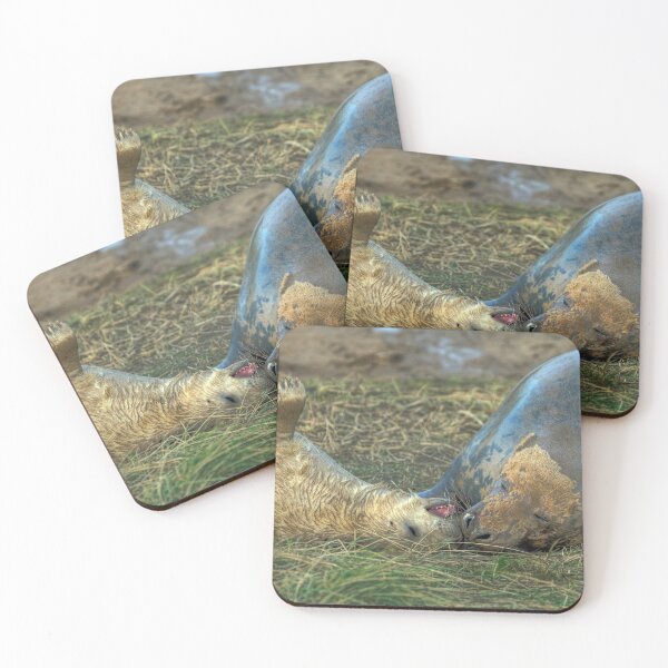 Item preview, Little Nipper designed and sold by Paul Thompson Photography.