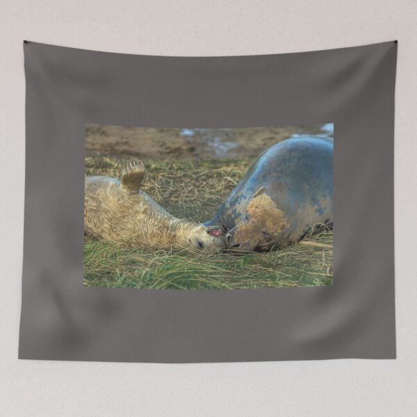 Item preview, Little Nipper designed and sold by Paul Thompson Photography.