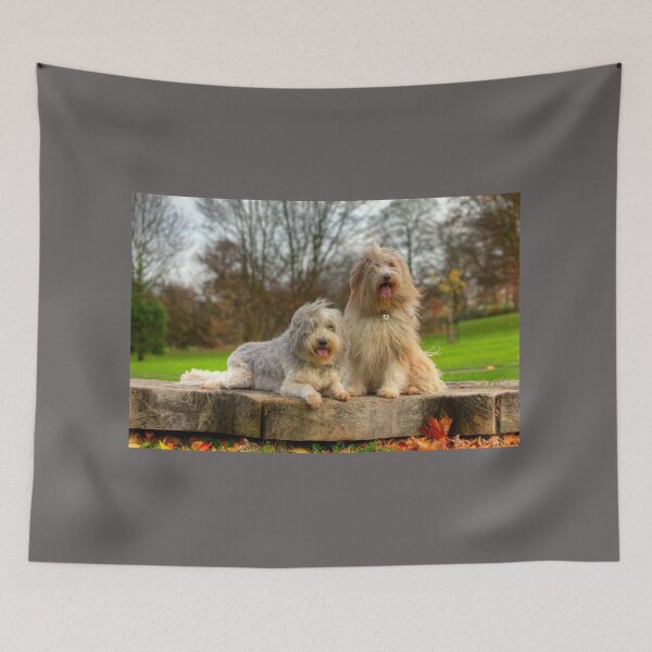Item preview, Bailey & Skye Bearded Collies designed and sold by Paul Thompson Photography.