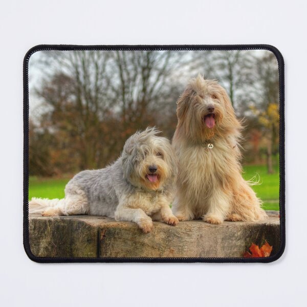 Item preview, Bailey & Skye Bearded Collies designed and sold by Paul Thompson Photography.