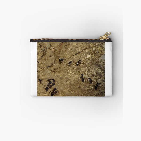 Item preview, ants designed and sold by Perggals© - Stacey Turner.