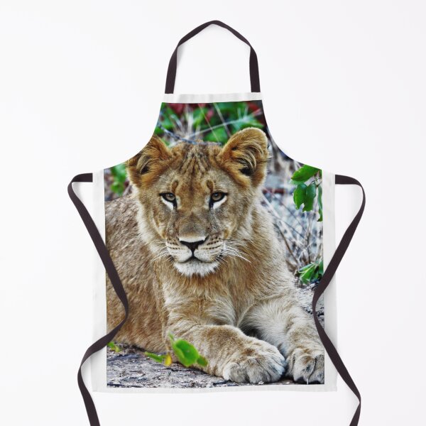 Item preview, Simba, future jungle king designed and sold by Maniki SA.
