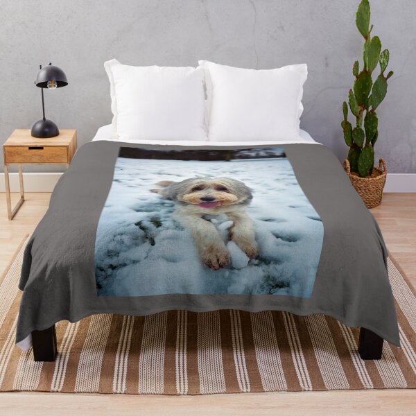 Item preview, Happy New Year From Bailey designed and sold by Paul Thompson Photography.