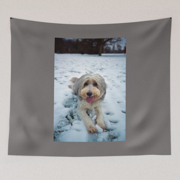 Item preview, Happy New Year From Bailey designed and sold by Paul Thompson Photography.