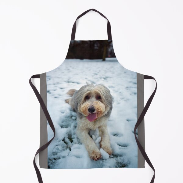 Item preview, Happy New Year From Bailey designed and sold by Paul Thompson Photography.
