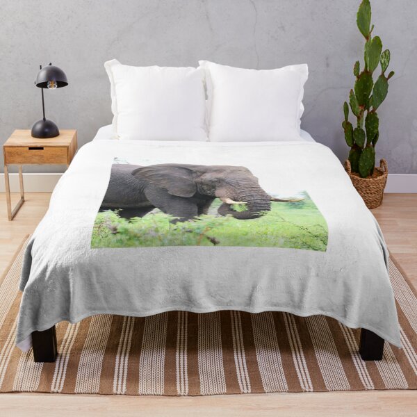 Item preview, Gentle giant, African bull elephant designed and sold by Maniki SA.