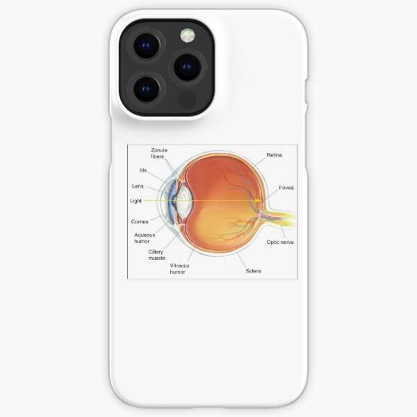 The eye diagram for kid's human anatomy diagrams iPhone Snap Case