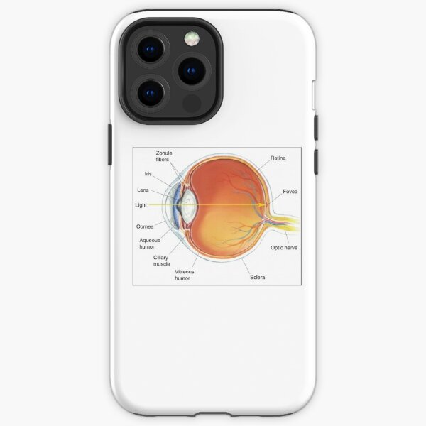 The eye diagram for kid's human anatomy diagrams iPhone Tough Case