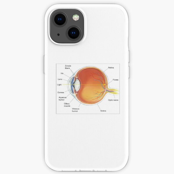 The eye diagram for kid's human anatomy diagrams iPhone Soft Case