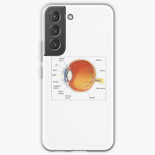 The eye diagram for kid's human anatomy diagrams Samsung Galaxy Soft Case