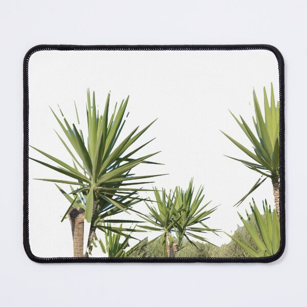 Item preview, Ramas de palmeras tropicales designed and sold by architecturephd.