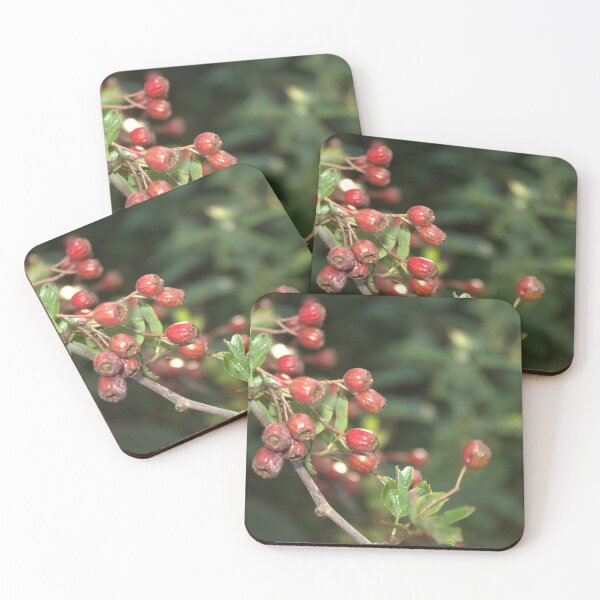 Item preview, Small Red Berries on Tree Branch designed and sold by InterOptic.