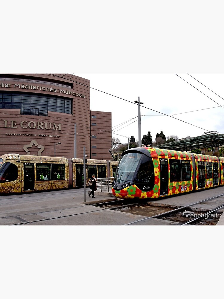 Montpellier trams at Le Corum Art Board Print