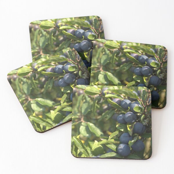 Item preview, Bunch of Ripe Blue Sloe Berries designed and sold by InterOptic.