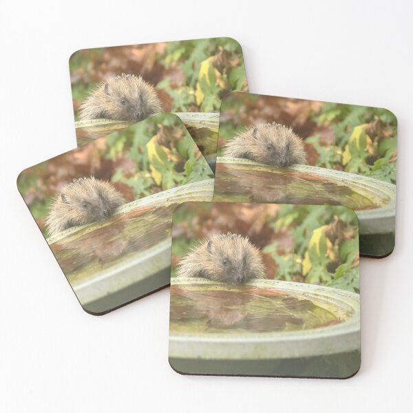Item preview, Hedgehog at the birdbath designed and sold by Susan Purveur.