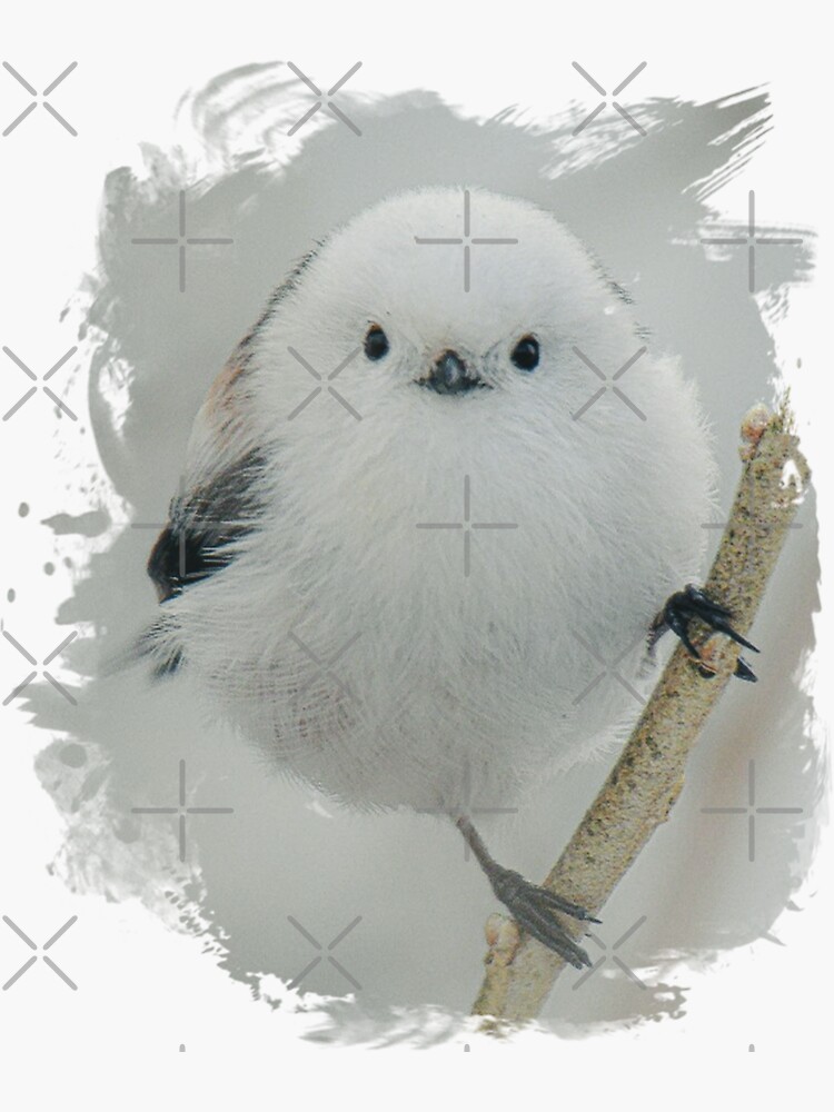 "Cute shima enaga bird Japanese cotton ball Japanese white fluffy