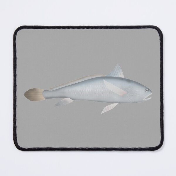 Item preview, Pama Croaker designed and sold by fishfolkart.