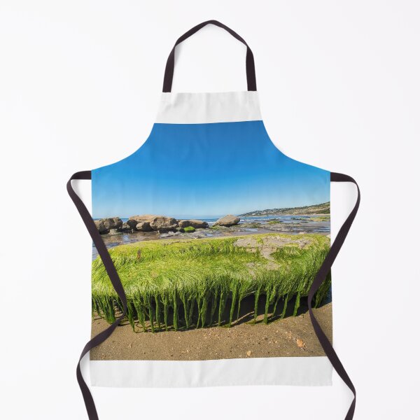 Item preview, Algae Covered Rocks at Charmouth Dorset designed and sold by Dorset Girl.