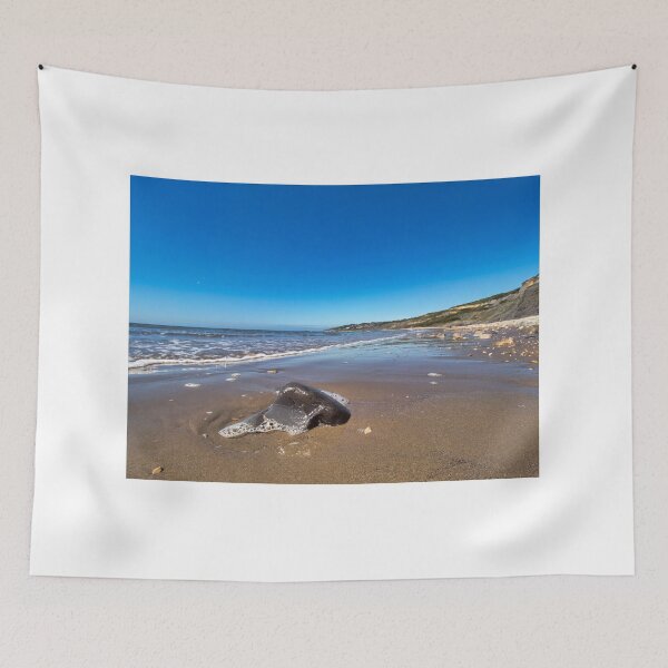 Item preview, Large Smooth Stones on Charmouth Beach designed and sold by Dorset Girl.