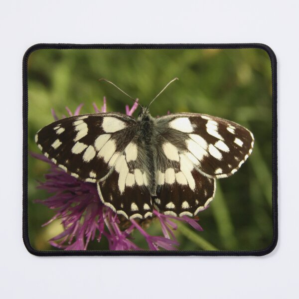 Item preview, Butterfly 3 designed and sold by Guardi71.