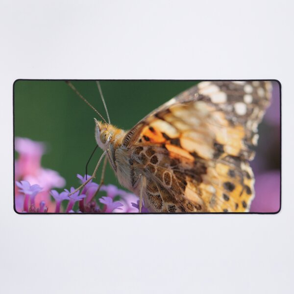 Item preview, Painted Lady designed and sold by cuprum.