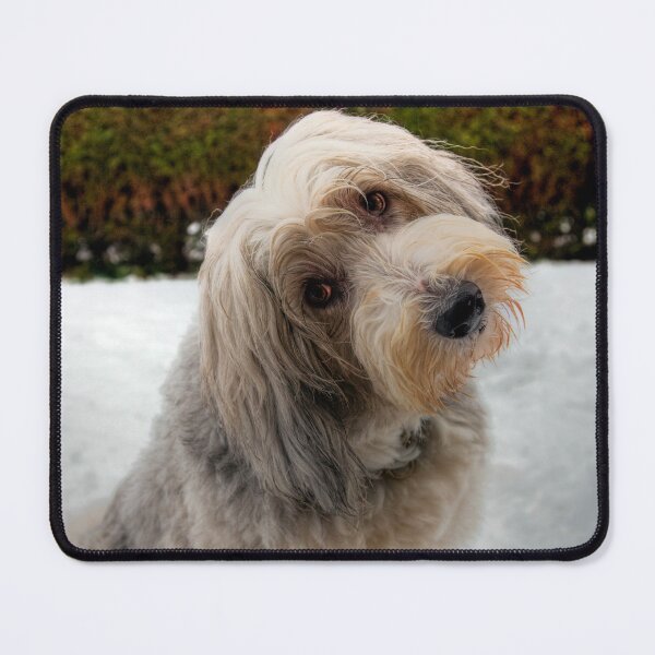 Item preview, Who, Me? designed and sold by Paul Thompson Photography.