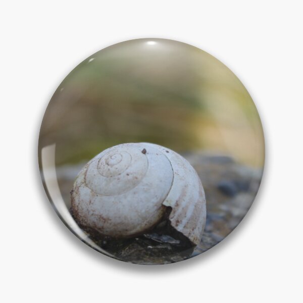 Item preview, Empty Snail Shell sat Solitary on a Rock designed and sold by InterOptic.