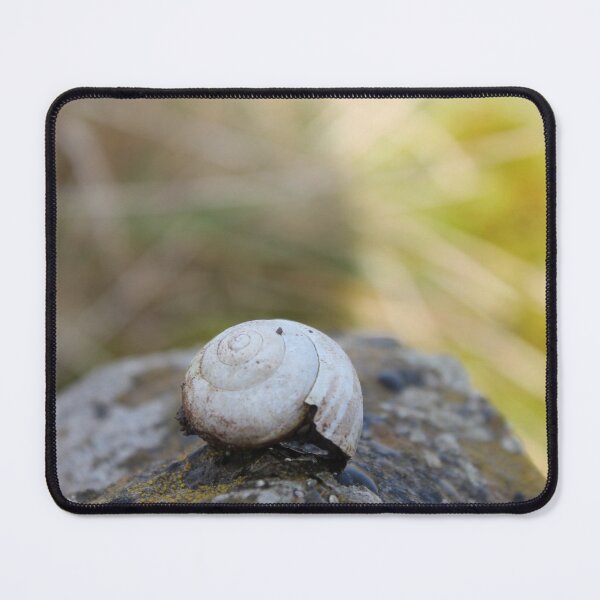 Item preview, Empty Snail Shell sat Solitary on a Rock designed and sold by InterOptic.