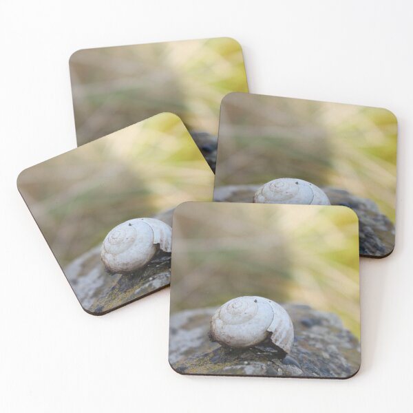 Item preview, Empty Snail Shell sat Solitary on a Rock designed and sold by InterOptic.