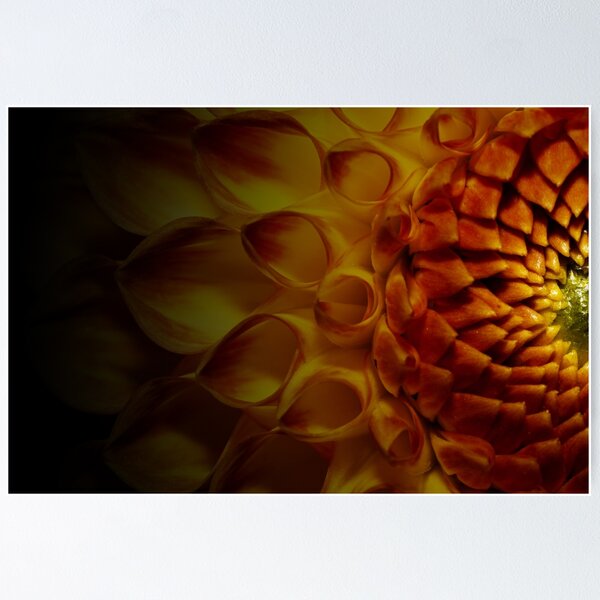 Aperçu de l'œuvre Le plus beau langage de la nature | dahlia créée et vendue par BBPGallery.