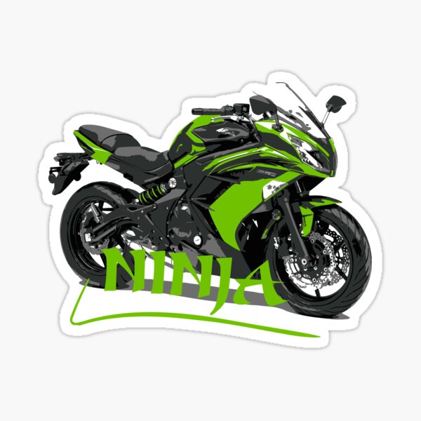 NINJA vinyl decal 1 set Kawasaki SPORT BIKE motor cycle crotchrocket 