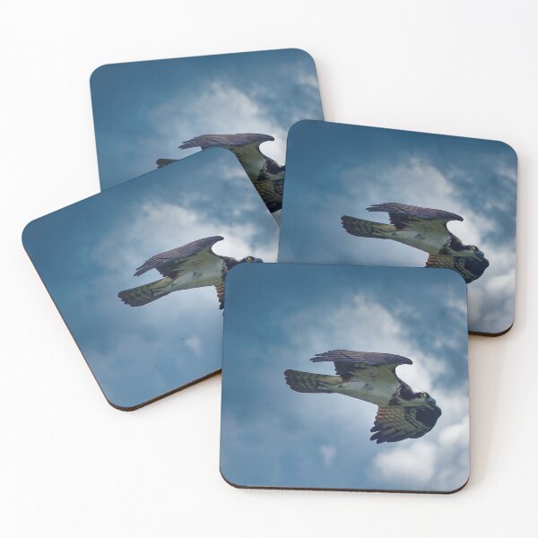 Item preview, Osprey in flight designed and sold by KDartisticeye.