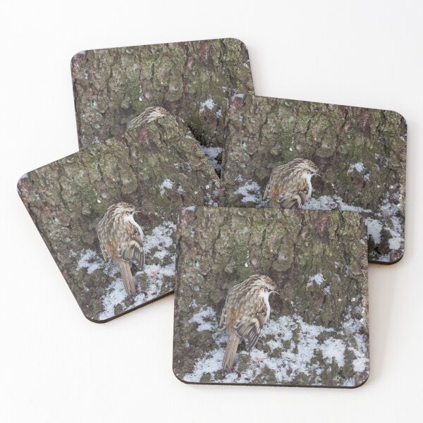 Item preview, Just bark and snow here. Eurasian treecreeper designed and sold by Jouko Lehto Photography.