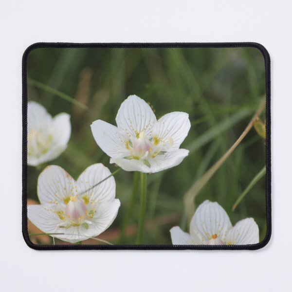 Item preview, Delicate white Flowers, Royal Looking designed and sold by InterOptic.
