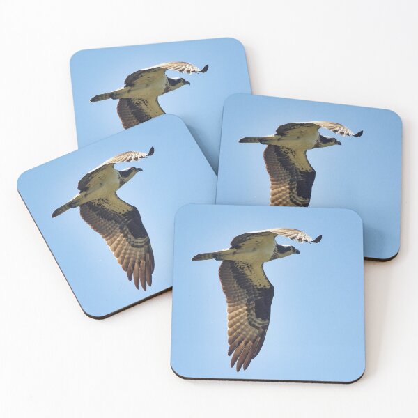 Item preview, Osprey in flight designed and sold by KDartisticeye.