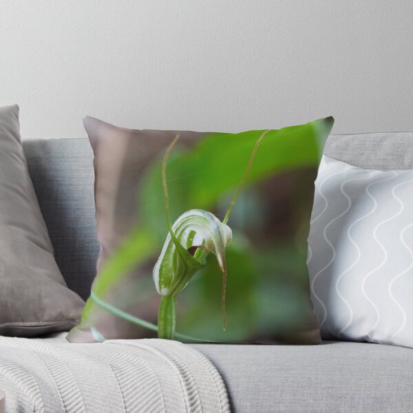 Item preview, Swamp Greenhood - Diplodium tenuissimum designed and sold by Paul Piko.