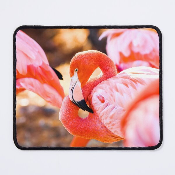 Item preview, Sleepy Flamingo  designed and sold by TBphotography9.