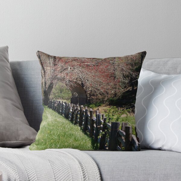 Item preview, Blue Ridge Parkway designed and sold by paulboggs.