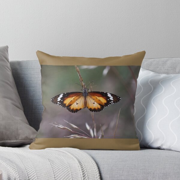 Item preview, Lesser Wanderer Butterfly - Danaus petilia designed and sold by Paul Piko.