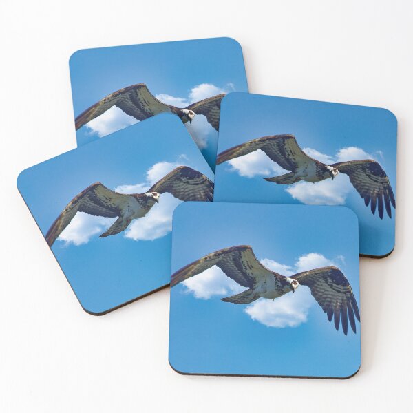Item preview, Osprey in flight designed and sold by KDartisticeye.